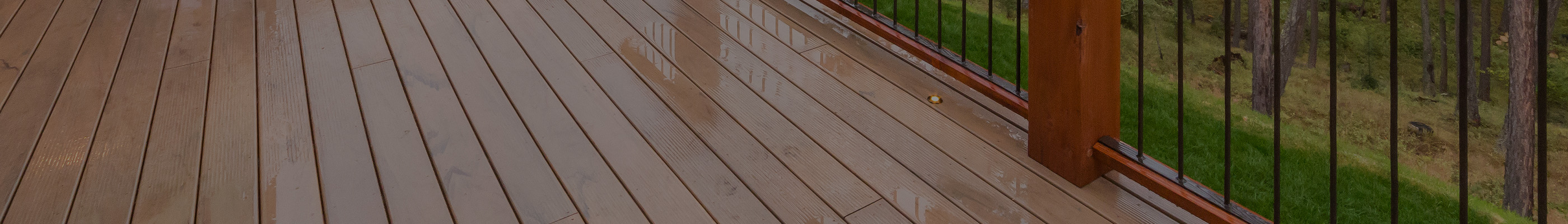 Deck overlooking the forest